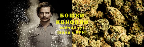 ECSTASY Белокуриха