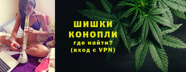 ECSTASY Белокуриха